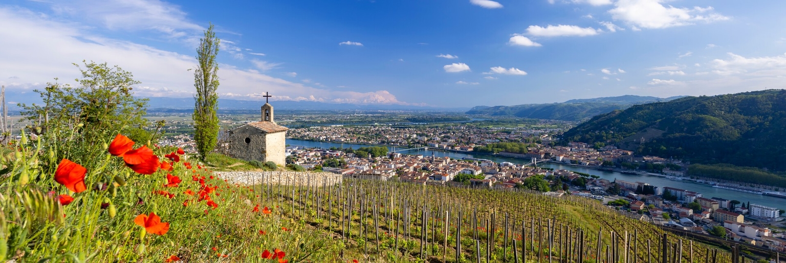 Cotes du Rhone